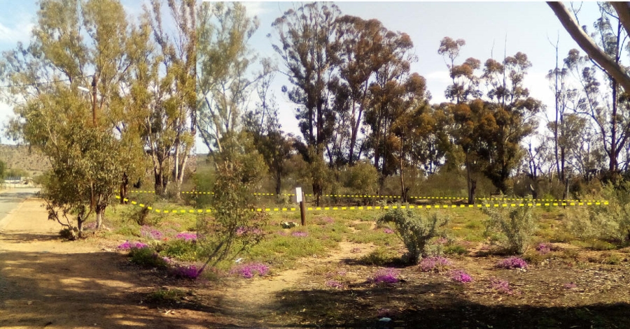 Commercial Property for Sale in Willowmore Eastern Cape